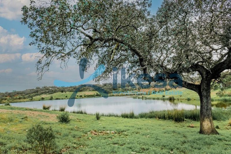 Foto 9697495a-93d9-48e9-a702-070d75c913f8. Finca rústica a Puebla de Guzmán