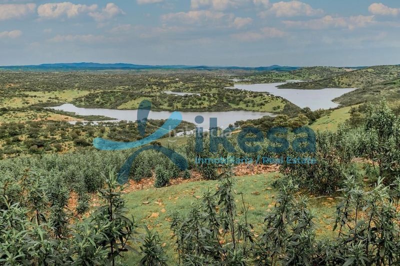 Foto ba68dd50-e44d-4462-abfc-696db144778d. Finca rústica a Puebla de Guzmán