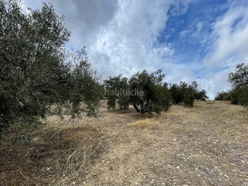 Foto 60c0f1ed-0105-4350-bffb-430391ff29f5. Finca rústica a San Ildefonso - Catedral Jaén