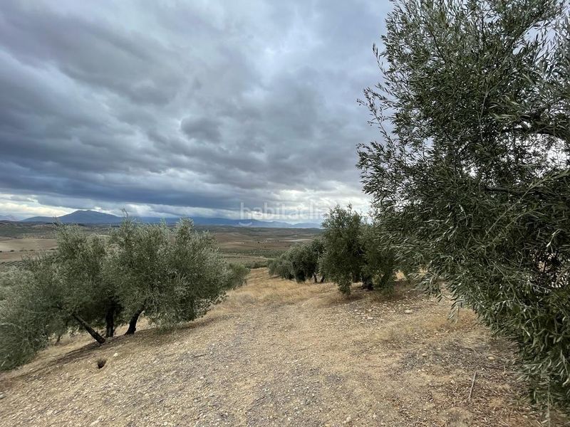 Foto 924efebd-d3c0-4c90-88b5-76f72be640ae. Finca rústica a San Ildefonso - Catedral Jaén