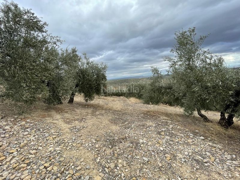 Foto 9933873b-181d-4a0b-8198-276b74861876. Finca rústica a San Ildefonso - Catedral Jaén