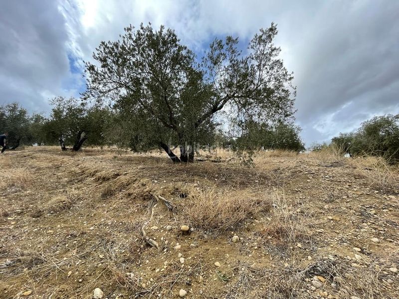 Foto ea573b54-434b-45b7-b853-fadc5cff7557. Finca rústica a San Ildefonso - Catedral Jaén