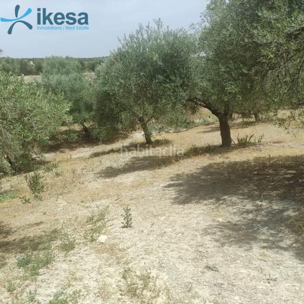 Foto f5cbb95c-b882-4d99-9ef9-e842102d6107. Finca rústica a San Ildefonso - Catedral Jaén