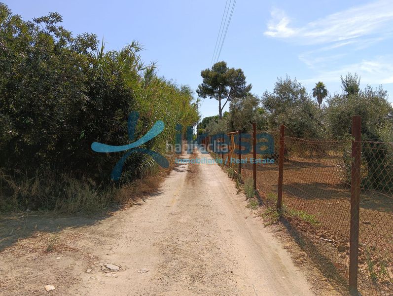 Foto b1a2c89f-31b7-4cfb-9a30-9b6513f946a7. Xalet amb piscina a Pedanías Norte Utrera