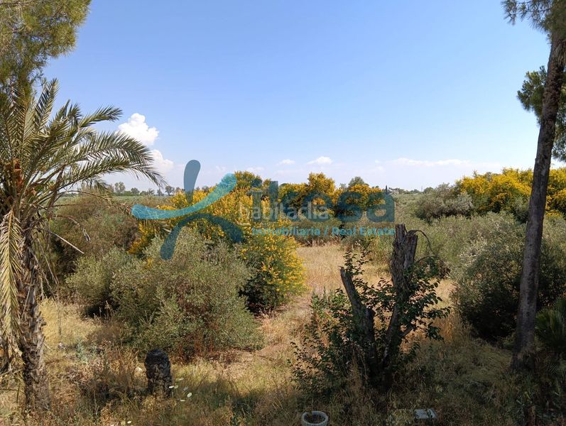 Foto f0fa822e-b0b2-4c9a-a979-5600ebb8272d. Xalet amb piscina a Pedanías Norte Utrera