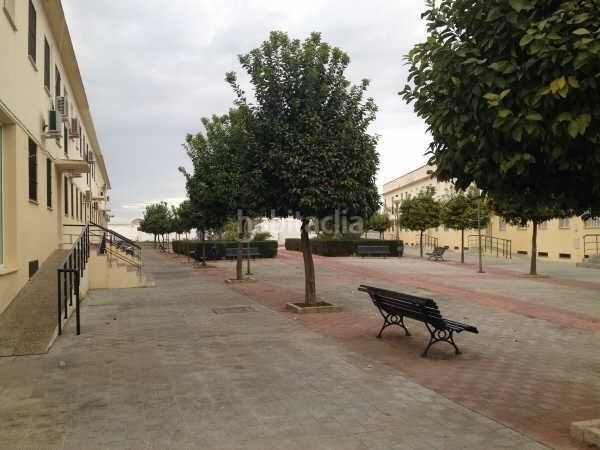 Foto 0ca1c9f2-b581-47c6-b3b3-ee72703cefc5. Pis a Marchena
