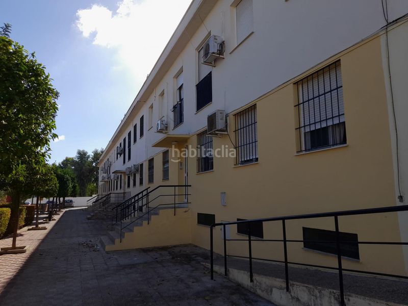 Foto 83160ec3-98e7-4d0c-a62a-5e4c5b703b41. Pis a Marchena