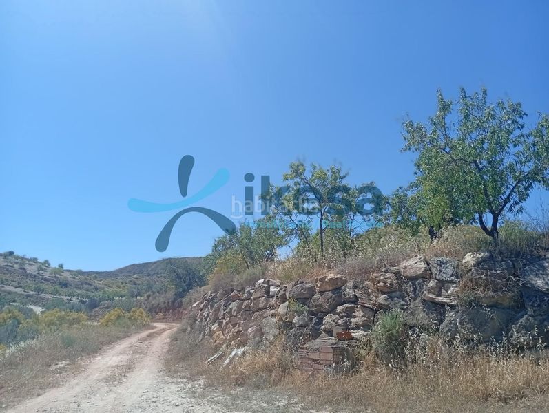 Foto 42c01ff3-3a6f-4487-9e70-3cc8bbcb4c97. Finca rústica a Cantoria