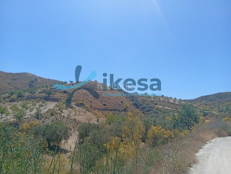 Foto 54ac8163-0cfb-4bd9-a51b-ef5b28251589. Finca rústica a Cantoria
