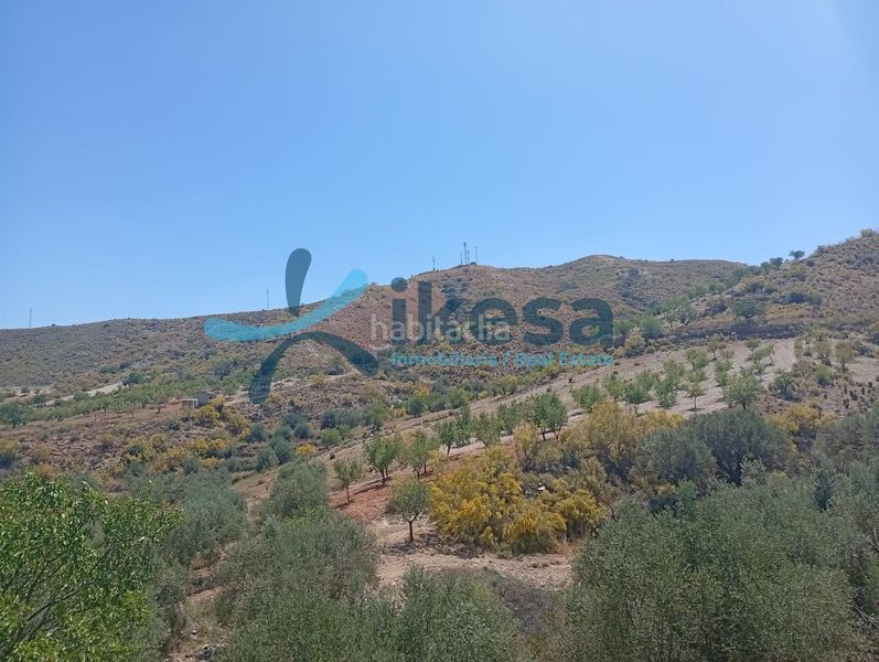Foto 658557c0-b36c-4899-a447-7c733a65ff62. Finca rústica a Cantoria
