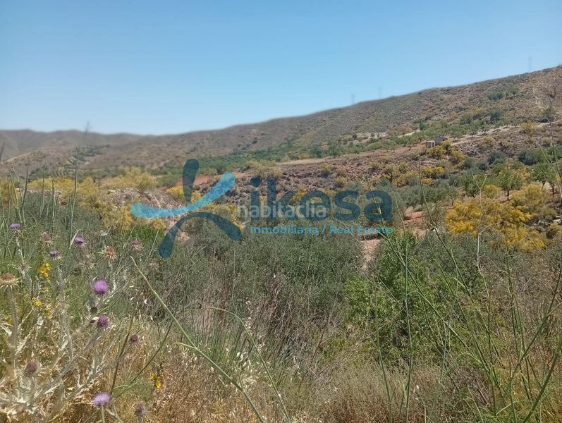 Foto 82a175aa-d7a8-4a7b-8a17-9899c6a258bb. Finca rústica a Cantoria