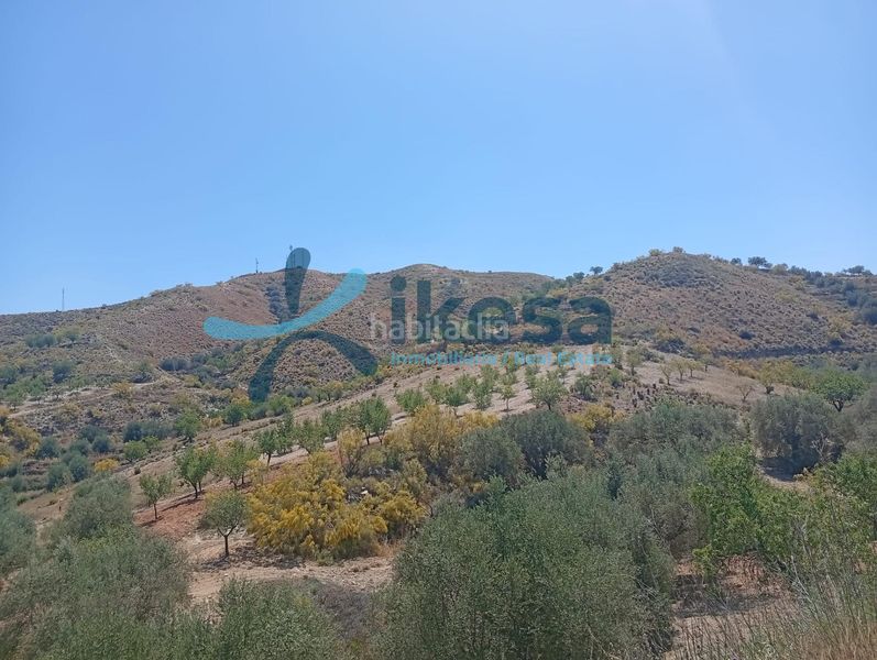 Foto a5a10984-cb19-4cbb-8066-0e1bfcbeda0b. Finca rústica a Cantoria