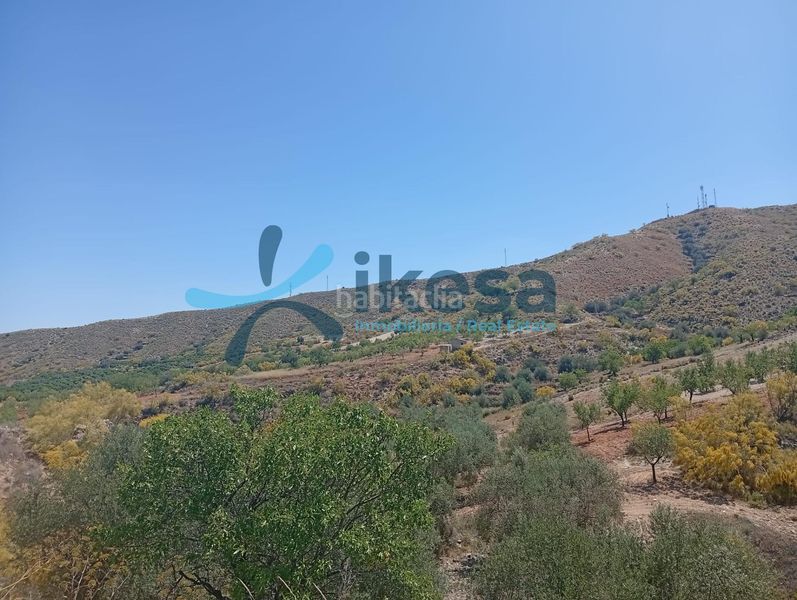 Foto ce7dc15f-9288-49bc-9978-7ffb568517fb. Finca rústica a Cantoria
