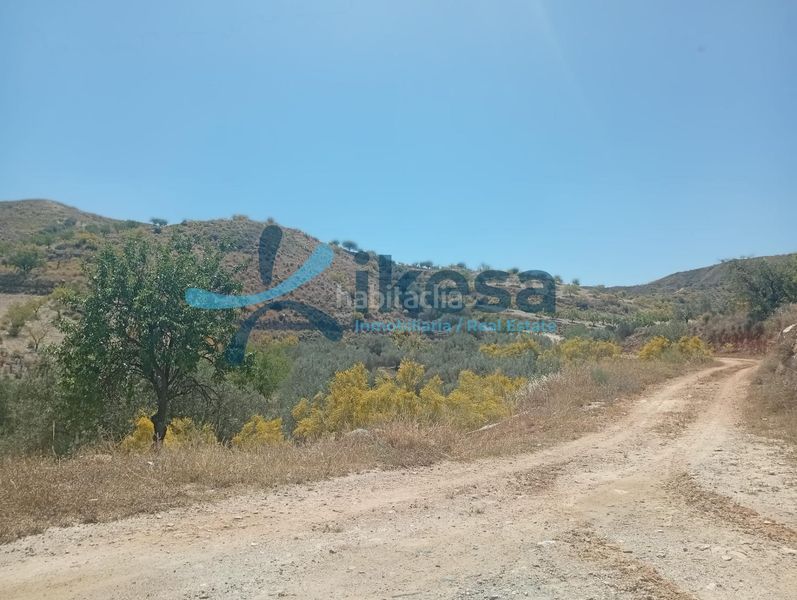 Foto fb4b7a4b-93de-47c5-a230-f411daea6cf3. Finca rústica a Cantoria