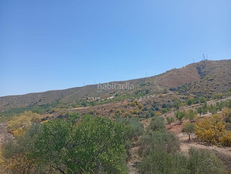 Foto 515474bf-b09a-4429-b6a2-1e5da5fa3ff2. Finca rústica a Lubrín
