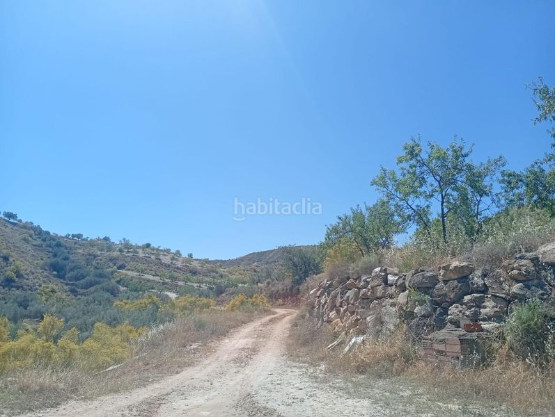 Foto ba17a9d4-d6b2-4c80-b825-2dfcc89ecf3b. Finca rústica a Lubrín