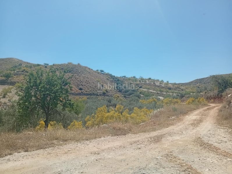 Foto c8b78e21-b37c-4659-b210-71c15298ceee. Finca rústica a Lubrín
