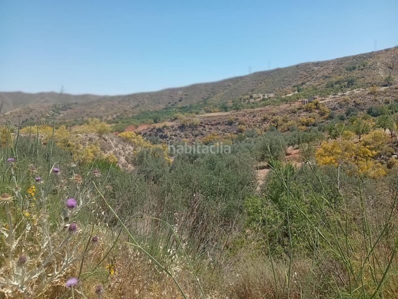 Foto dd98a822-ab2e-4681-a4ab-074968ba683f. Finca rústica a Lubrín