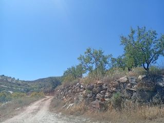 Fondo rustico in Lubrín. Venta de terreno rústico en cantoria almería