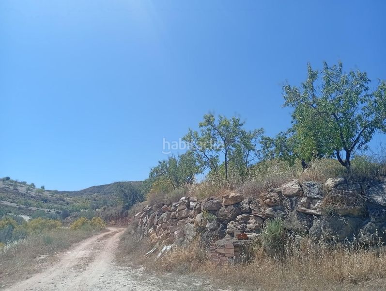Foto faed9f35-a140-4e9c-b3a9-92eaa73a76bc. Finca rústica a Lubrín