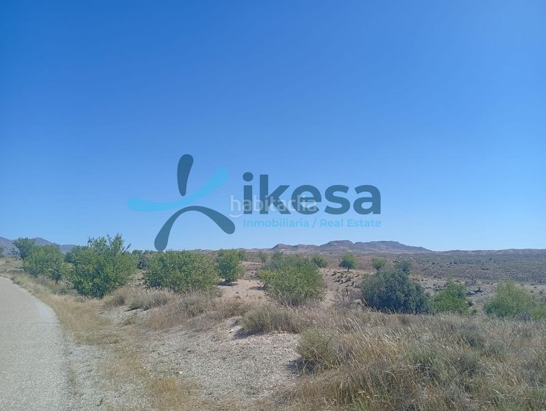 Foto 71245dea-9202-4064-a4f1-12fb28652b9d. Finca rústica a Albox