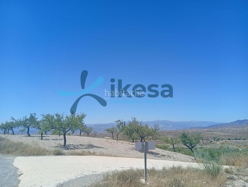 Foto ad46ef3b-cb70-4c43-b731-80259a0cdc95. Finca rústica a Albox