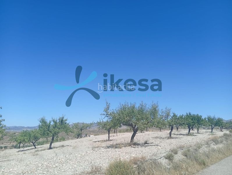 Foto dfda3c92-23f9-4366-801c-d307e25d1a49. Finca rústica a Albox