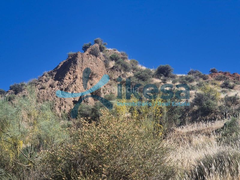 Foto d3f944b6-9233-4cca-bd29-c26b71a89689. Finca rústica a Ugíjar