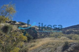 Finca rústica a Ugíjar. Venta de finca rústica en ugíjar granada