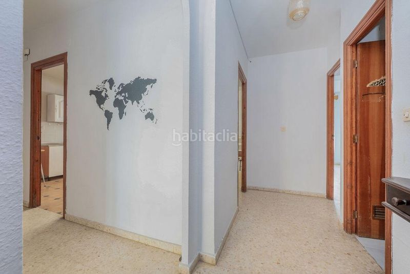 Foto e952d953-e267-4a1e-a2a0-5fef518f6374. Pis a Cantillana
