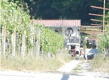 Foto c60517c8-1f25-47af-bc40-2e5b9a9e006e. Finca rústica a Crecente 12 a Crecente