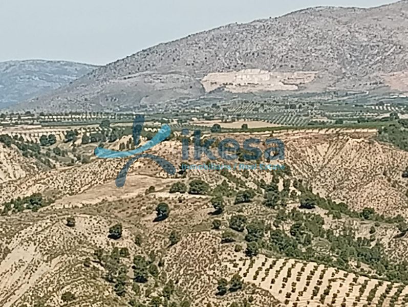Foto 0a34a0ee-7cf4-40c9-86b6-997f82aa3ef0. Finca rústica a Castril