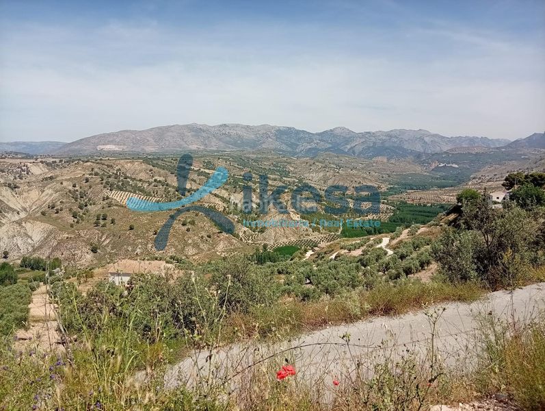 Foto 7767c2e6-5341-4c9b-8a0c-017450896555. Finca rústica a Castril