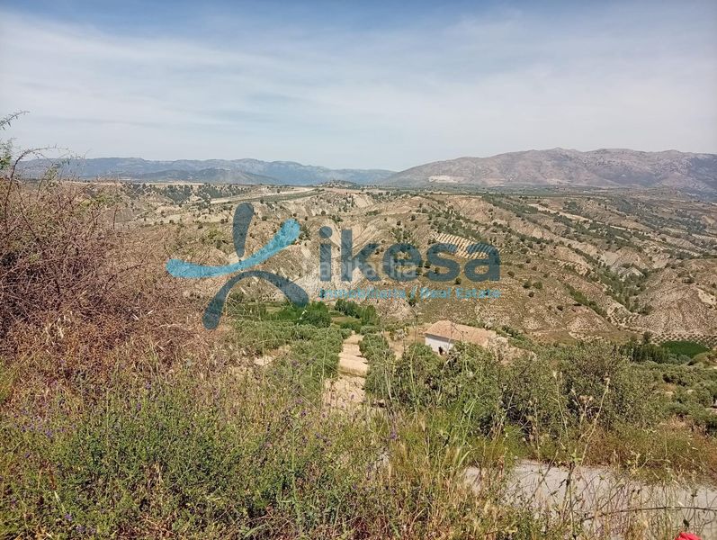 Foto ba2990fa-1155-40bd-83d3-3abf08e44c00. Finca rústica a Castril