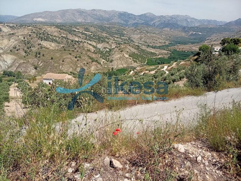Foto cfb0bc65-9960-4bf1-ab8d-ba6f5ffe894f. Finca rústica a Castril