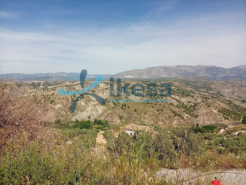 Foto f56f7e3c-5bdb-4334-8a90-be7abf7a6076. Finca rústica a Castril