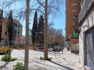Pis a Angustias - Chana - Encina