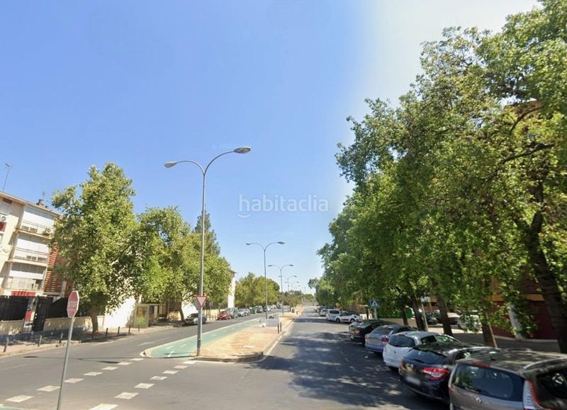 Foto 5210d215-2d44-4b60-98b4-b133f78a25ff. Pis a La Oliva Sevilla