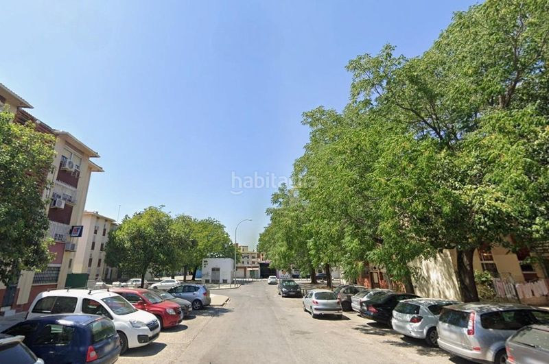 Foto 46b7d50d-2565-497b-8e77-58078a29501a. Pis a La Oliva Sevilla