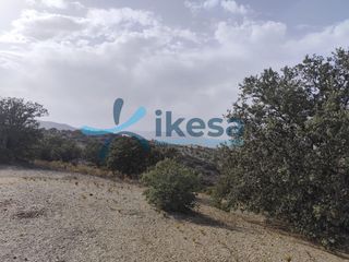 Finca rústica a Vélez - Rubio. Venta de terreno rústico en vélezrubio almería