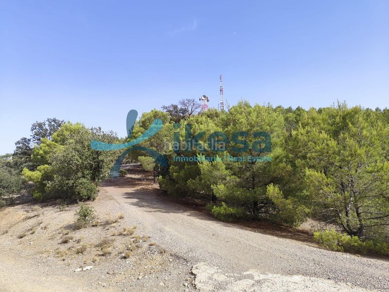 Foto 43b6481e-c297-42c8-aec7-a5ba4b447d0a. Finca rústica a Vélez - Rubio