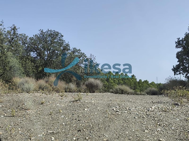 Foto 543e479c-4c34-4409-8c31-8c84609e9212. Finca rústica a Vélez - Rubio