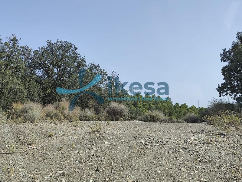 Foto 55f8de8e-9817-468d-a05d-673c1b2e36dd. Finca rústica a Vélez - Rubio