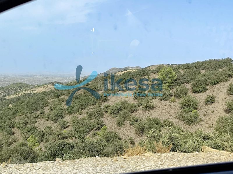 Foto b742e753-d2e6-4975-bcb3-f90e7341369f. Finca rústica a Vélez - Rubio