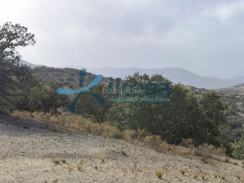 Foto e884b6ec-804d-4775-b709-d47f3ab79a44. Finca rústica a Vélez - Rubio