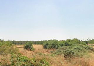 Terreny residencial a Golf Guadiana
