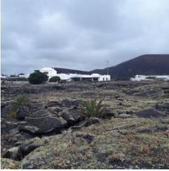 Landgut in Masdache. Finca rústica en polígono masdache nº p174 tías las palmas.