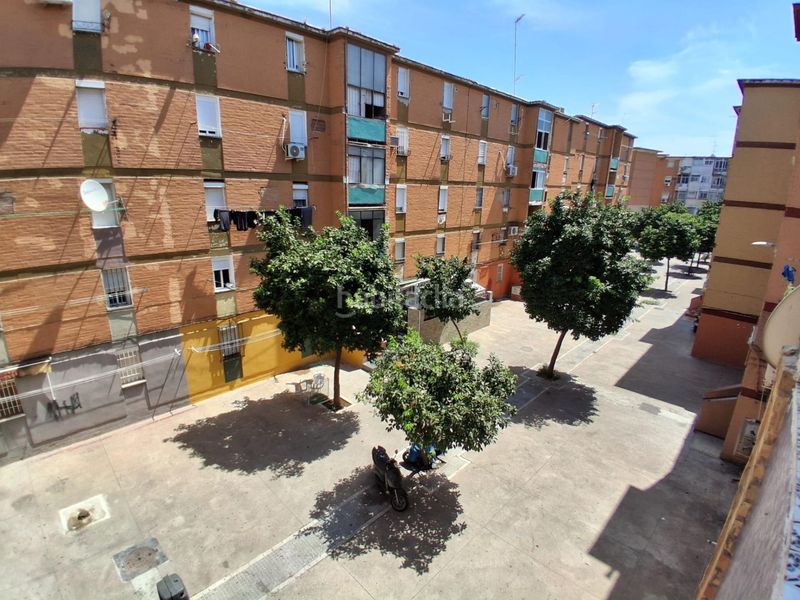 Foto 046cd0d8-c28b-4759-9d36-1556b4a3a52a. Pis a Los Pájaros Sevilla