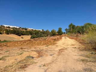 Landgut in Carmona. Venta de finca rústica en carmona sevilla