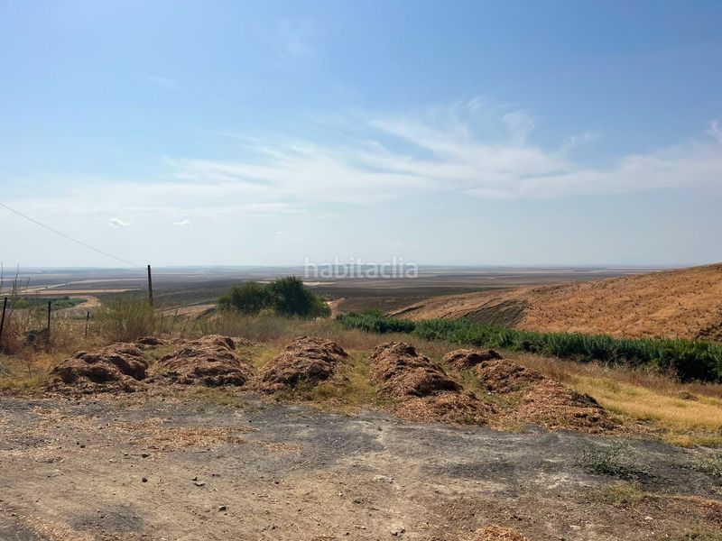 Foto a0b778a4-f927-43a6-97de-0419d4fc48d3. Finca rústica a Carmona